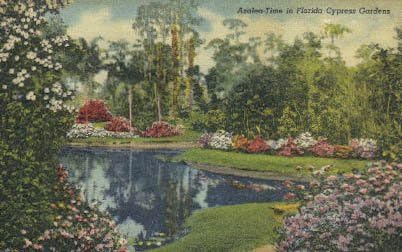 Пощенска картичка Елхови градини, Флорида