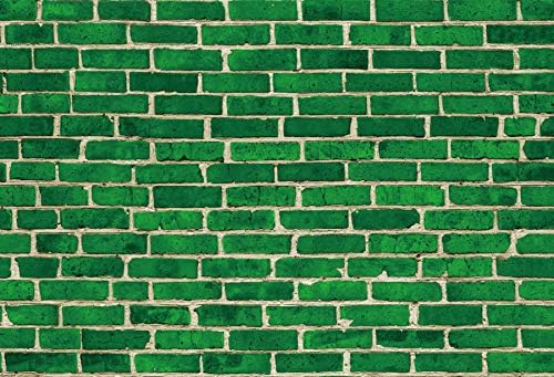 Renaiss 5x3 фута Зелена Тухлена Стена Фон за Снимки Реколта Тема Каменно-Тухлена Фон Детски Душ Момче Момичета