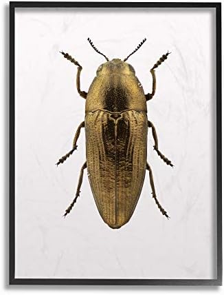 Стенни табели със снимка на животното под формата на Бръмбар Stupell Industries Gold, 10 x 15, Дизайн на художника Design Fabrikken